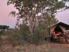 Kwafubesi Tented Safari Camp image