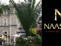Naas Court Hotel image