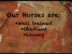 Horseback Africa - Pintos Lodge image