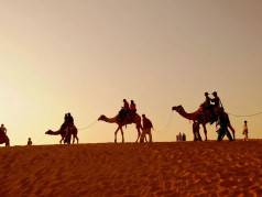 Rao Bikaji Camel Safari image