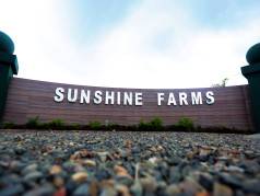 Sunshine Farms And Resort image